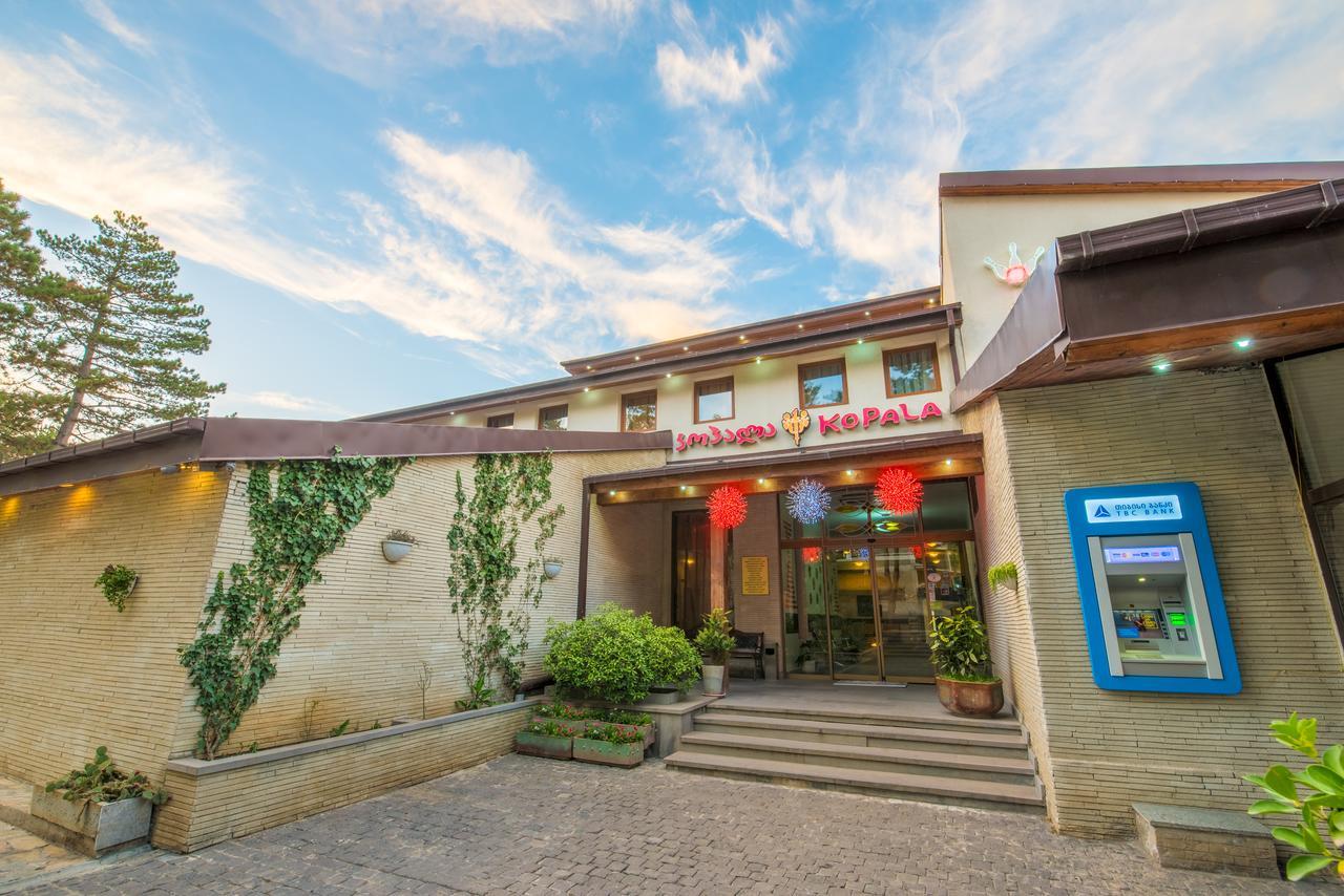 Kopala Tskneti Hotel Tsqnet'i Exteriör bild